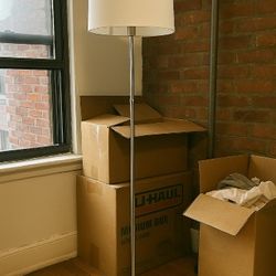 Brushed Steel Floor Lamp - $40