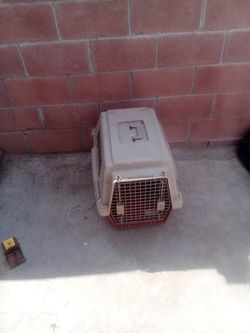 Pet Carrier Excellent Condition