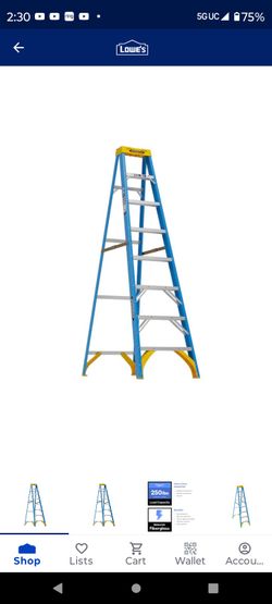 Werner 8 Ft Fiberglass Ladder