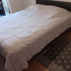 Queen Bed