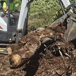 Excavator 
