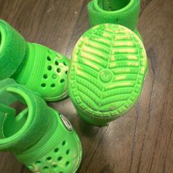 Barkbox crocs medium
