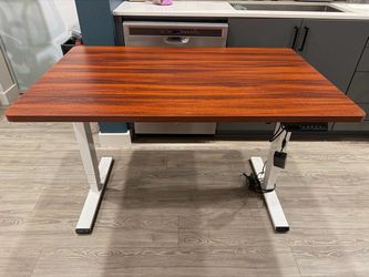 Flexispot E5 Standing Desk 48''X24''