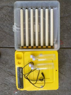 Incubator for eggs