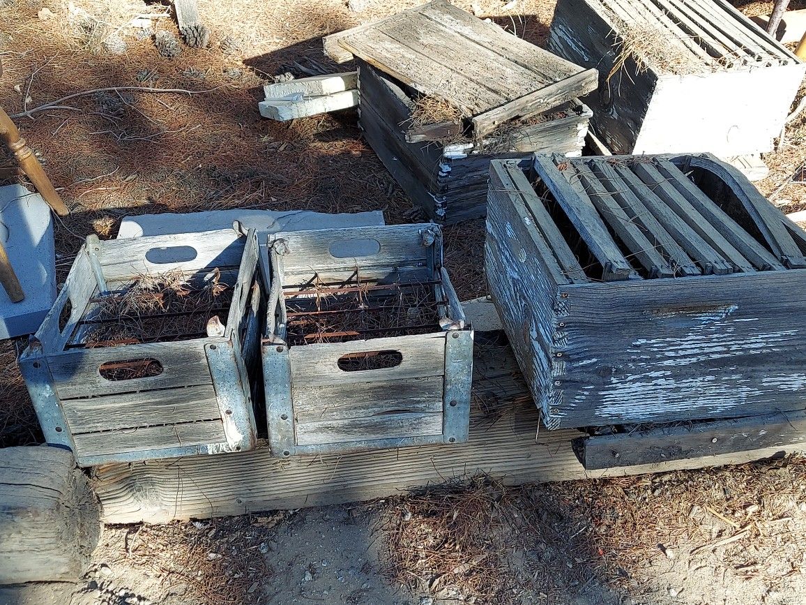 Vintage Egg Crates