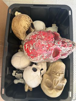 Skeleton Skulls and Bones Halloween