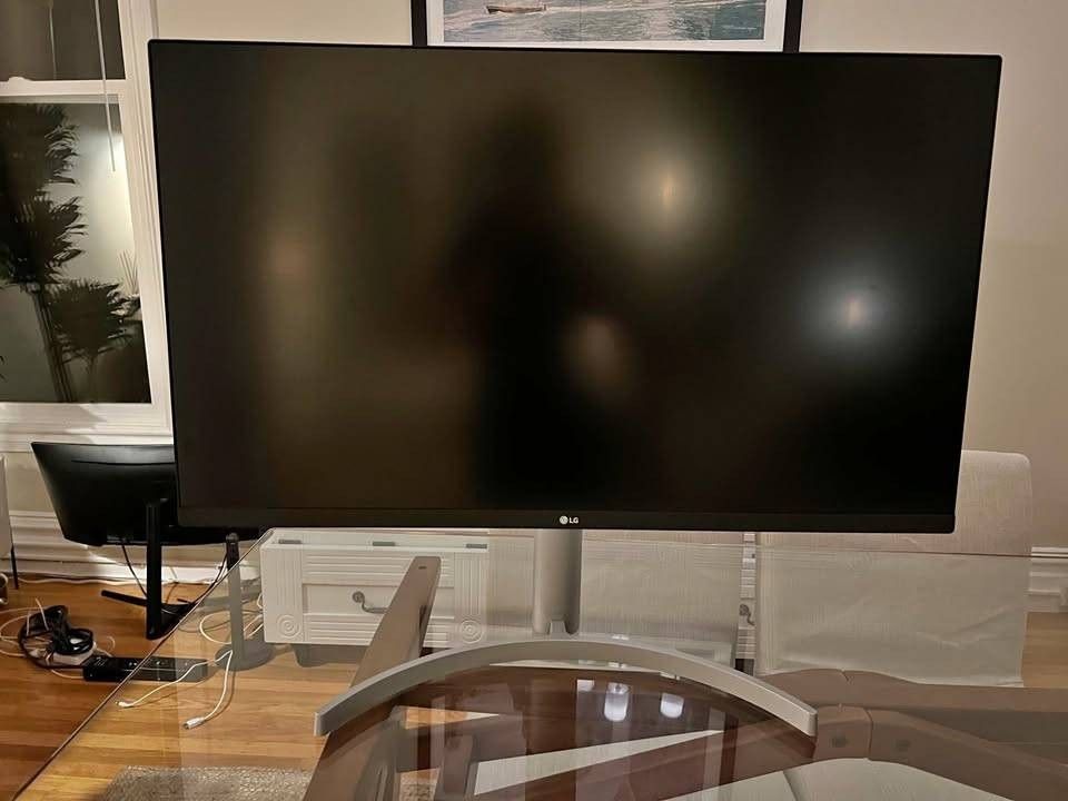 LG Ultrafine 32" 4K Monitor - $250