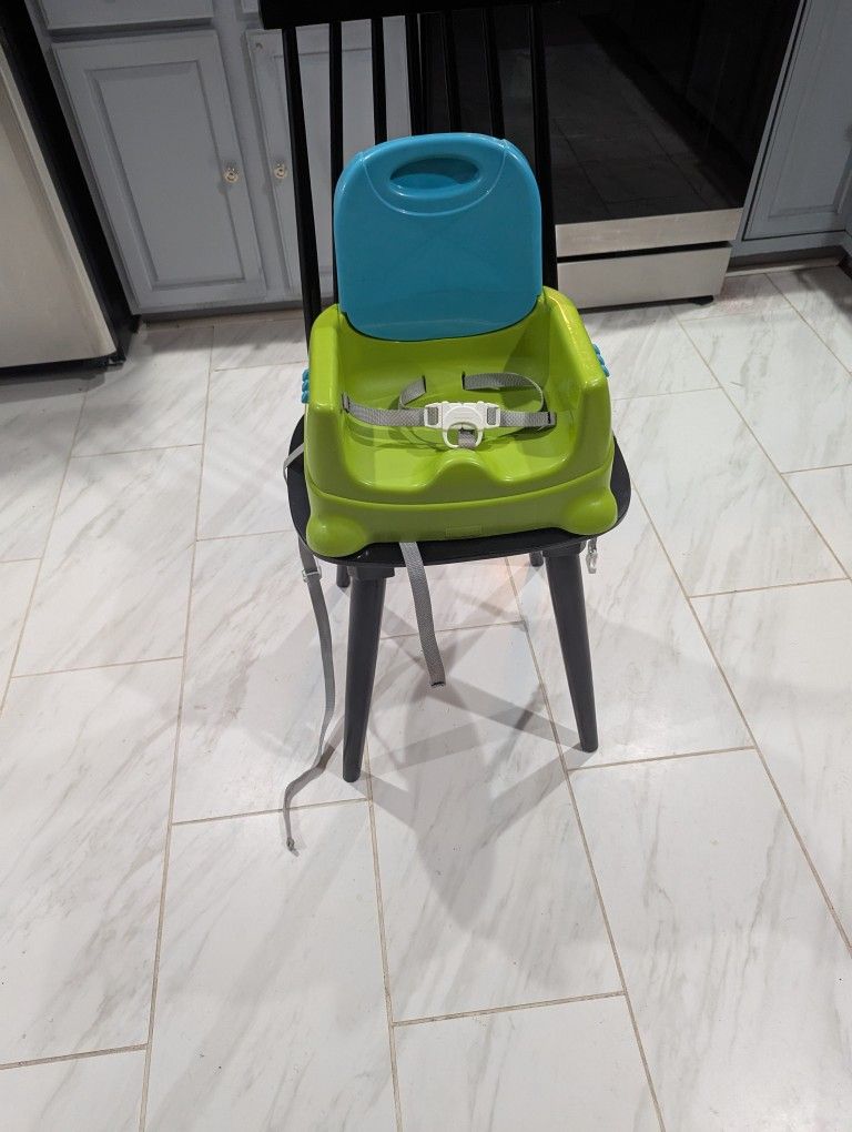 Fisher Price Booster Seat