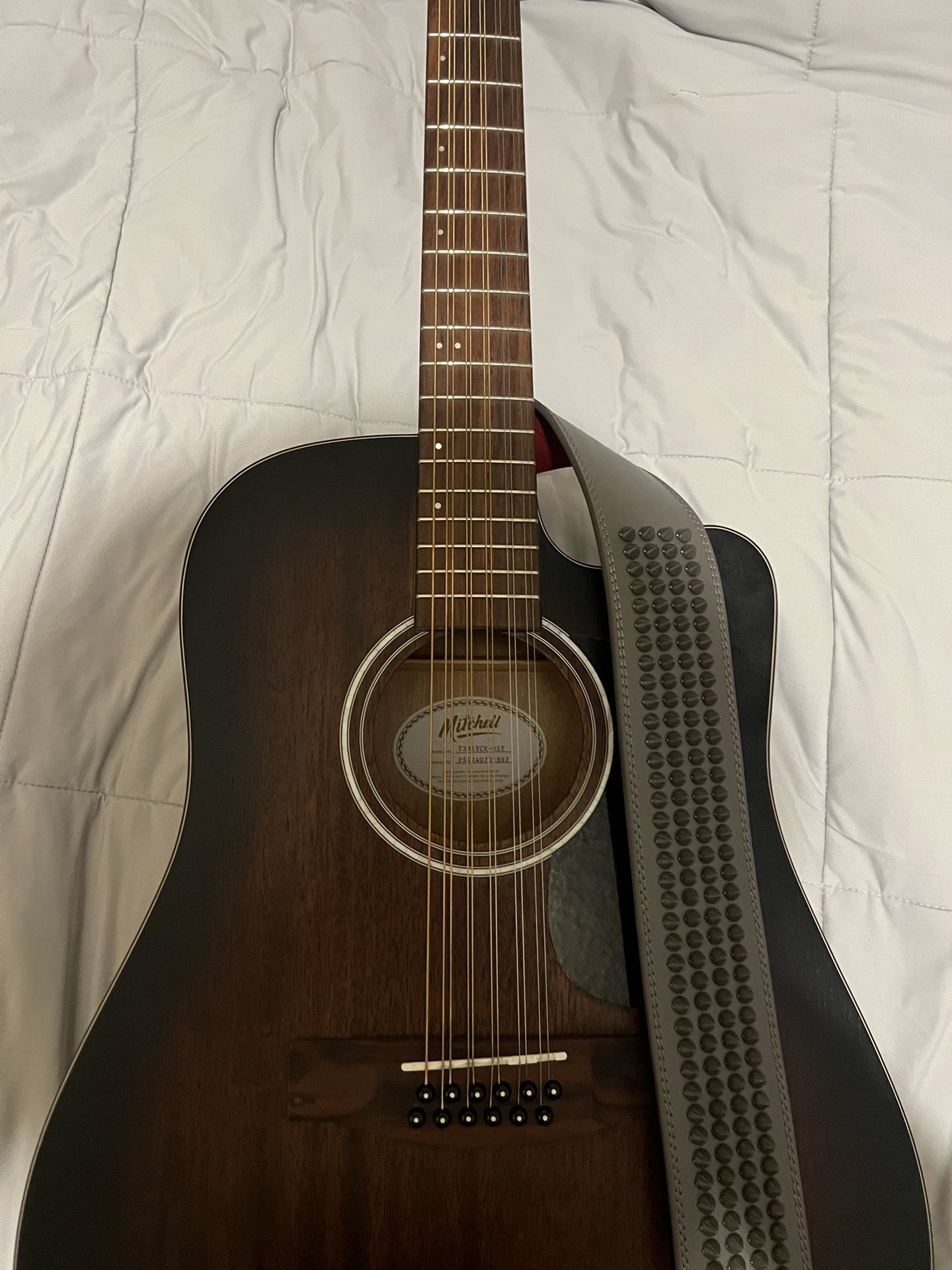 Mitchell 12 string