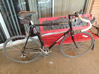Trek  1200 road bike .