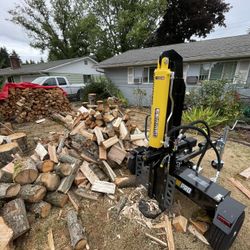 Champion Wood Splitter 