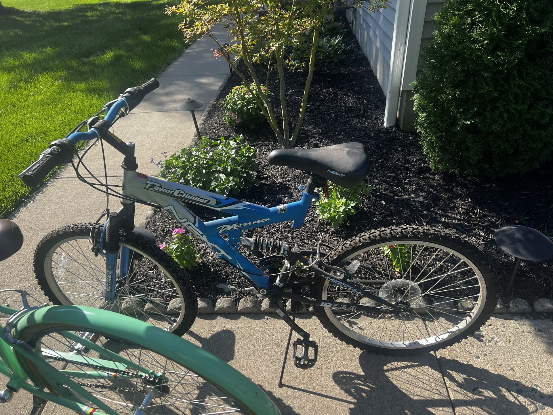 Adult Bike