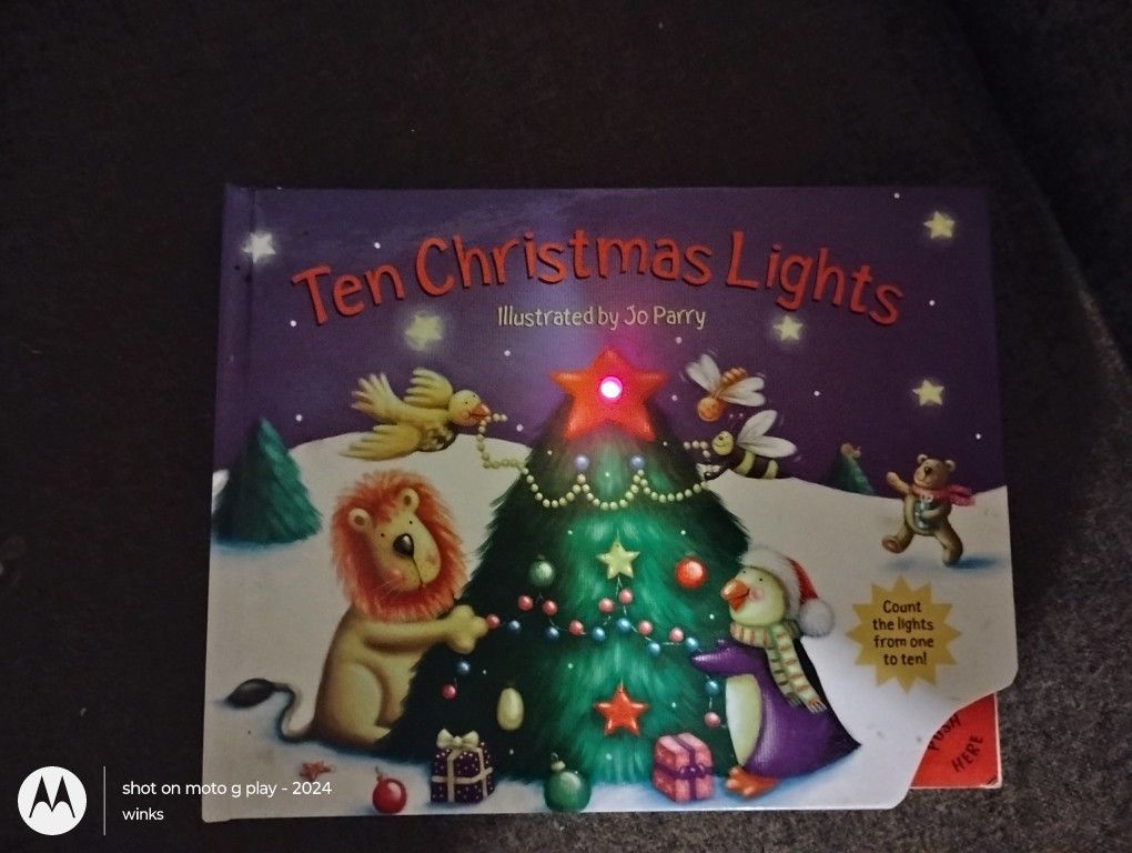 Light Up Christmas Book