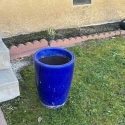 Planters/Plant pottting