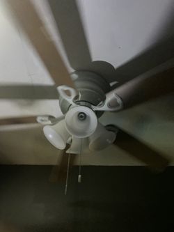 Cealing Fan