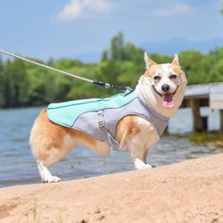 Cooling Dog Vest Harness: Breathable, Adjustable, Summer Essential