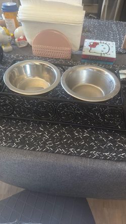 Cat bowls