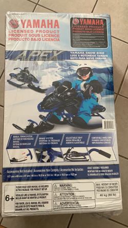 Snow bike