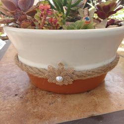Beautiful Big Ceramic Pot Succulent Garden 🌵🎁