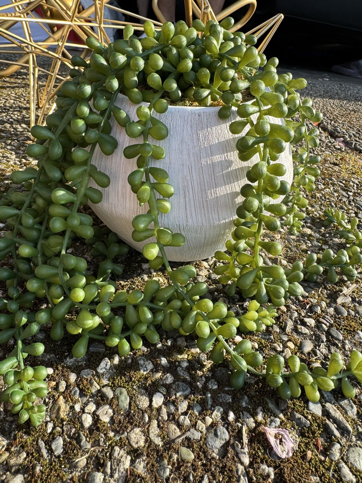 Fake Plant