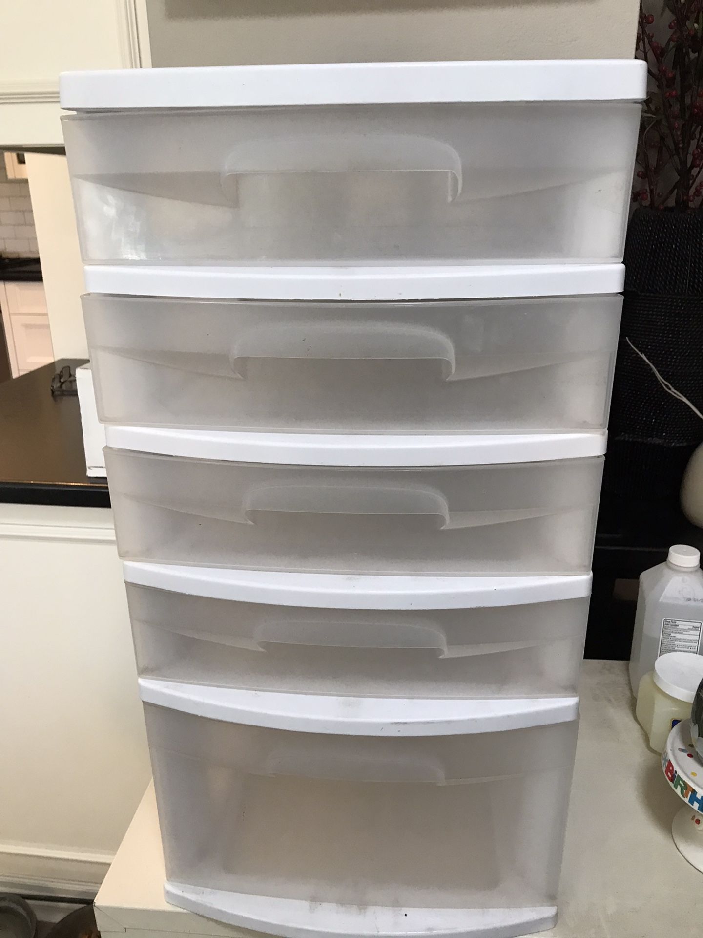 Five Drawer Plastic Organizer