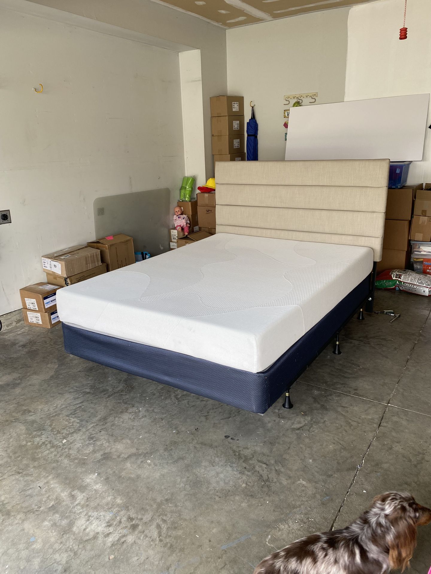 Queen Bed