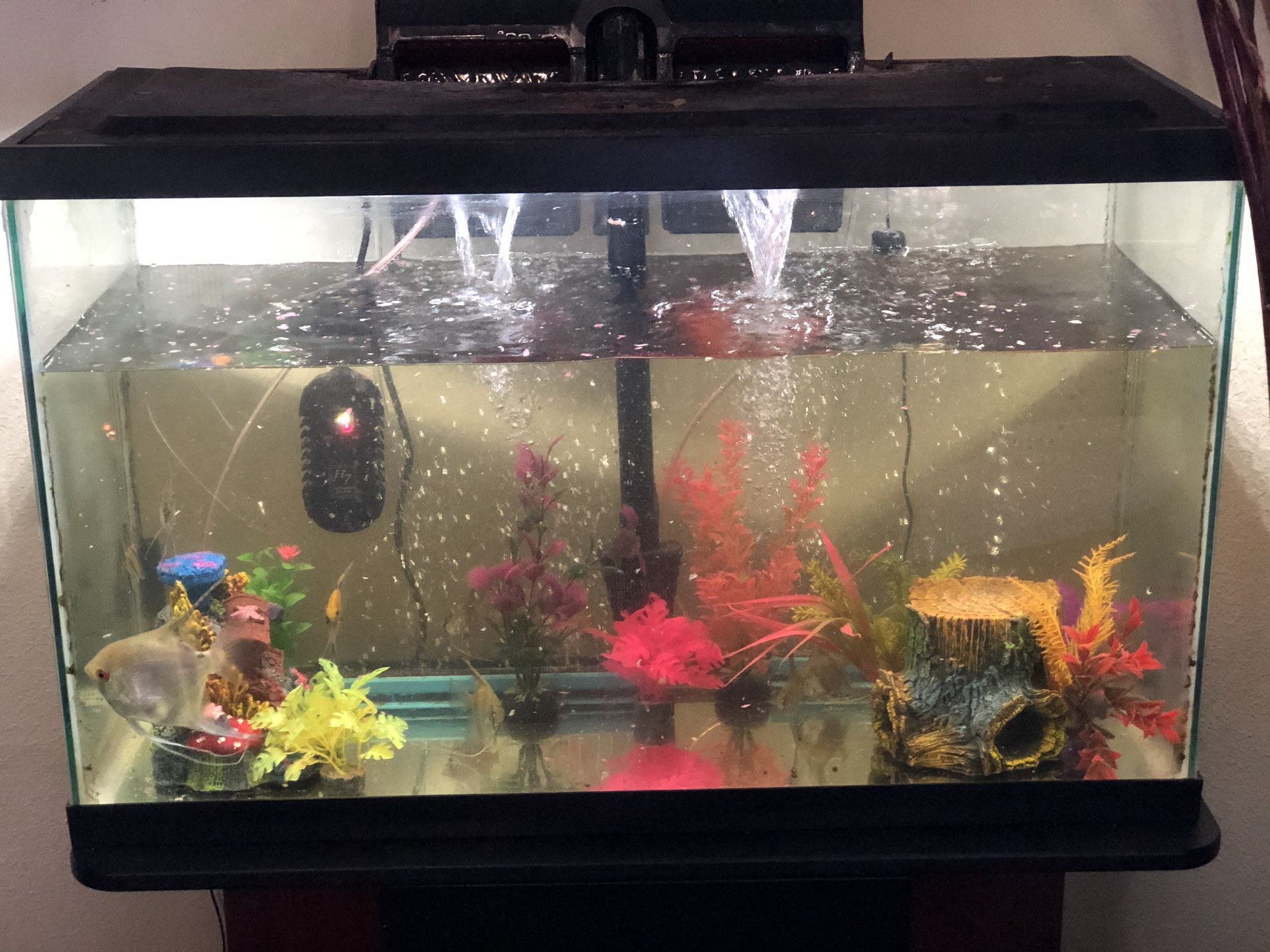 Fish 🐠 Tank 20 Gal
