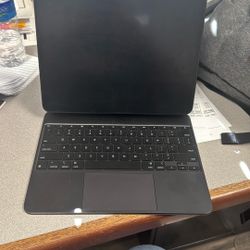 I Pad PRO M4 13” 