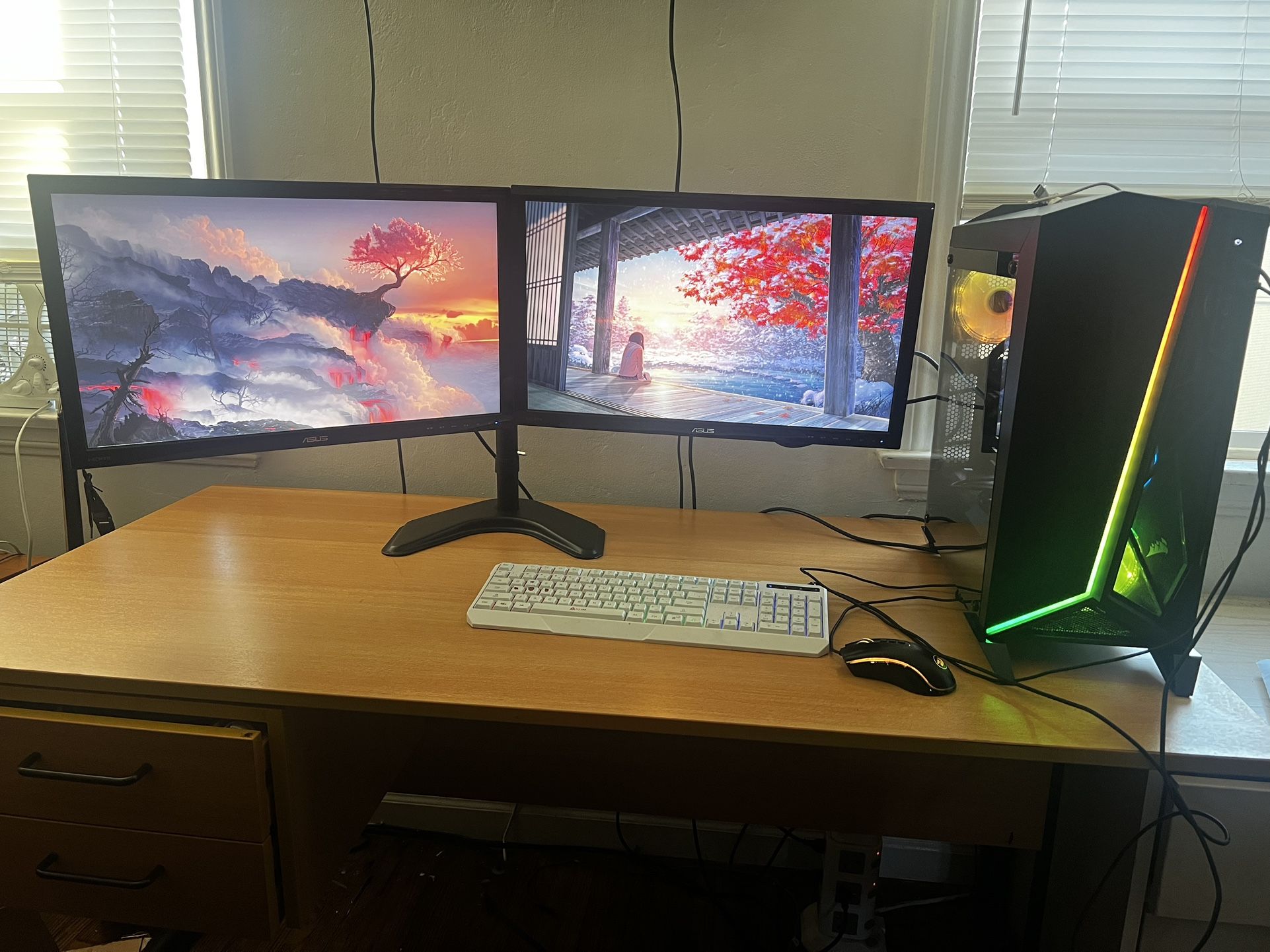 (2) VS248 Monitors + Dual Monitor Stand Set Up