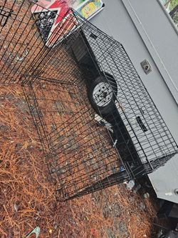 Xl large dog crate with 2 doors. Make offer