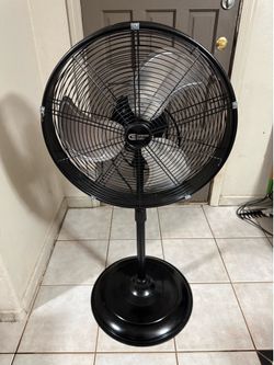 20 in. Oscillating Pedestal Fan