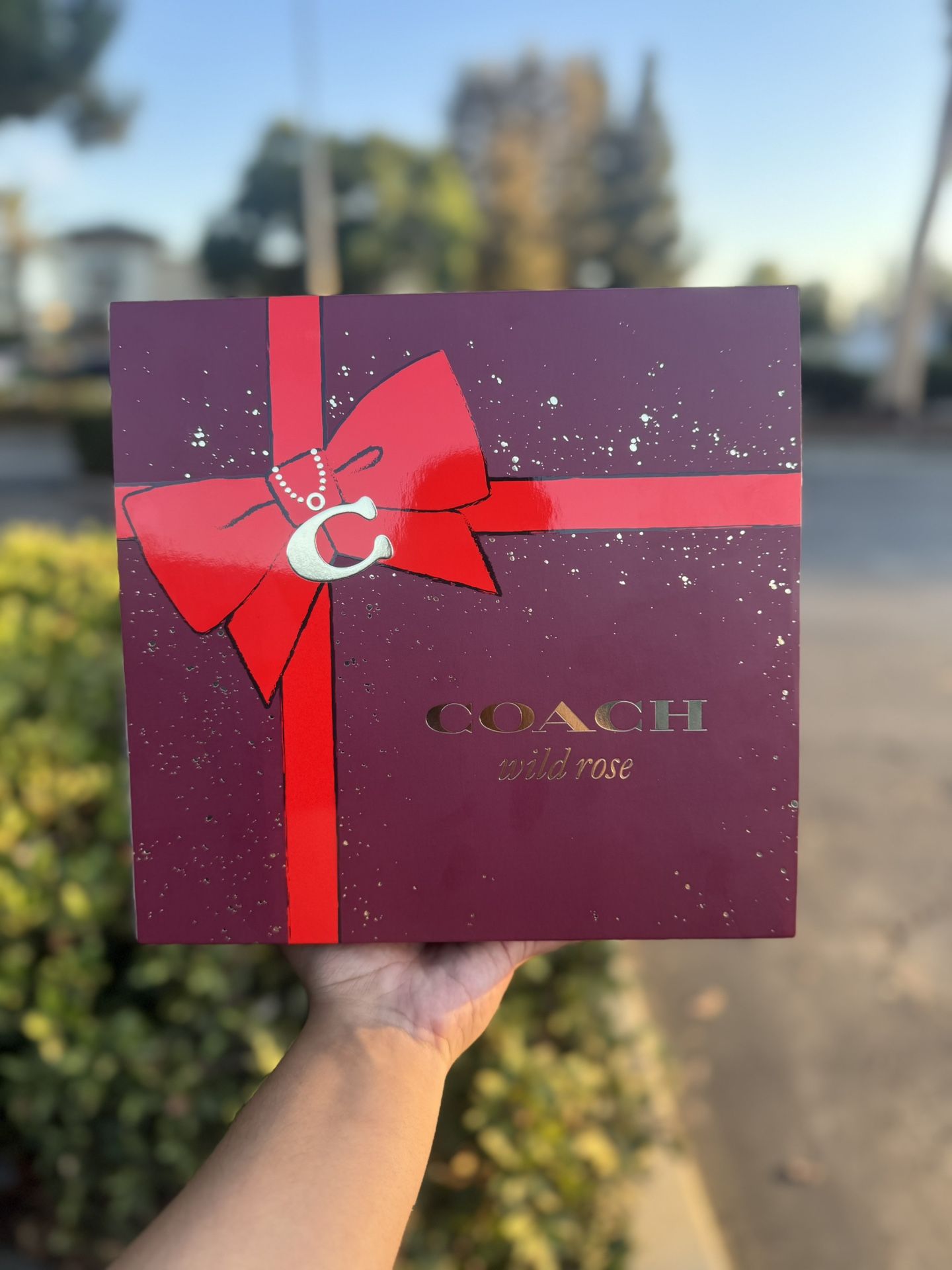 Coach Wild Rose Gift Set