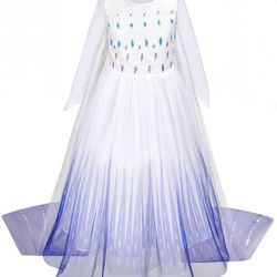 Elsa Ice Princess Dress Girl Size 8 