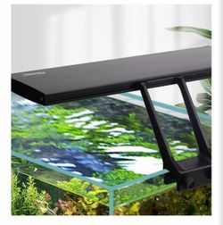Automatic lamp for aquarium with timer
