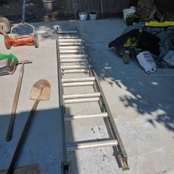 Tall Ladder