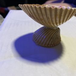 Giant Atlantic Cockle Shell Candles . Price Is For 2 Candles.