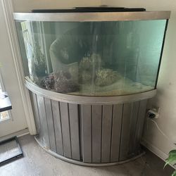 90 Gallon Fish Tank Saltwater Or Fresh Water