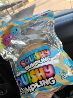 Squishy Dumpling Toy