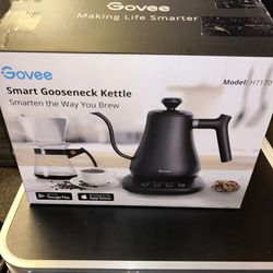 Govee Electric Kettle 