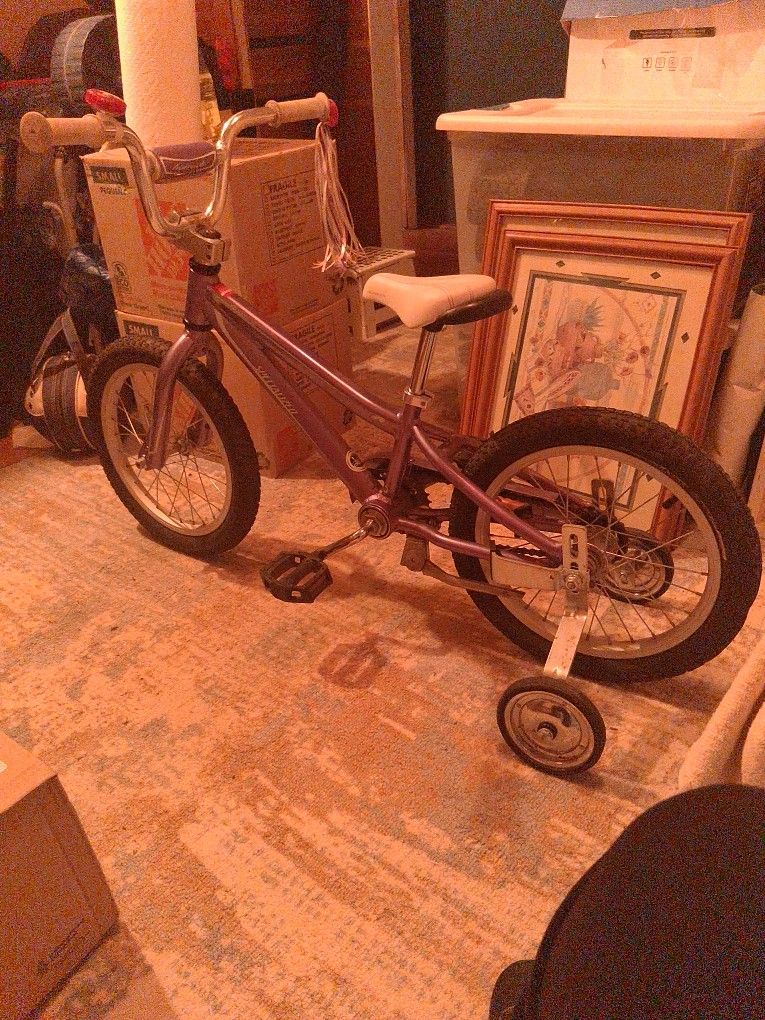 Specialized Bike For Young Girl