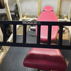 Rogue Bar Multi Grip 