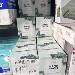 HAND WASH Moisturizes & Softens Skin WASHES AWAY GERMS