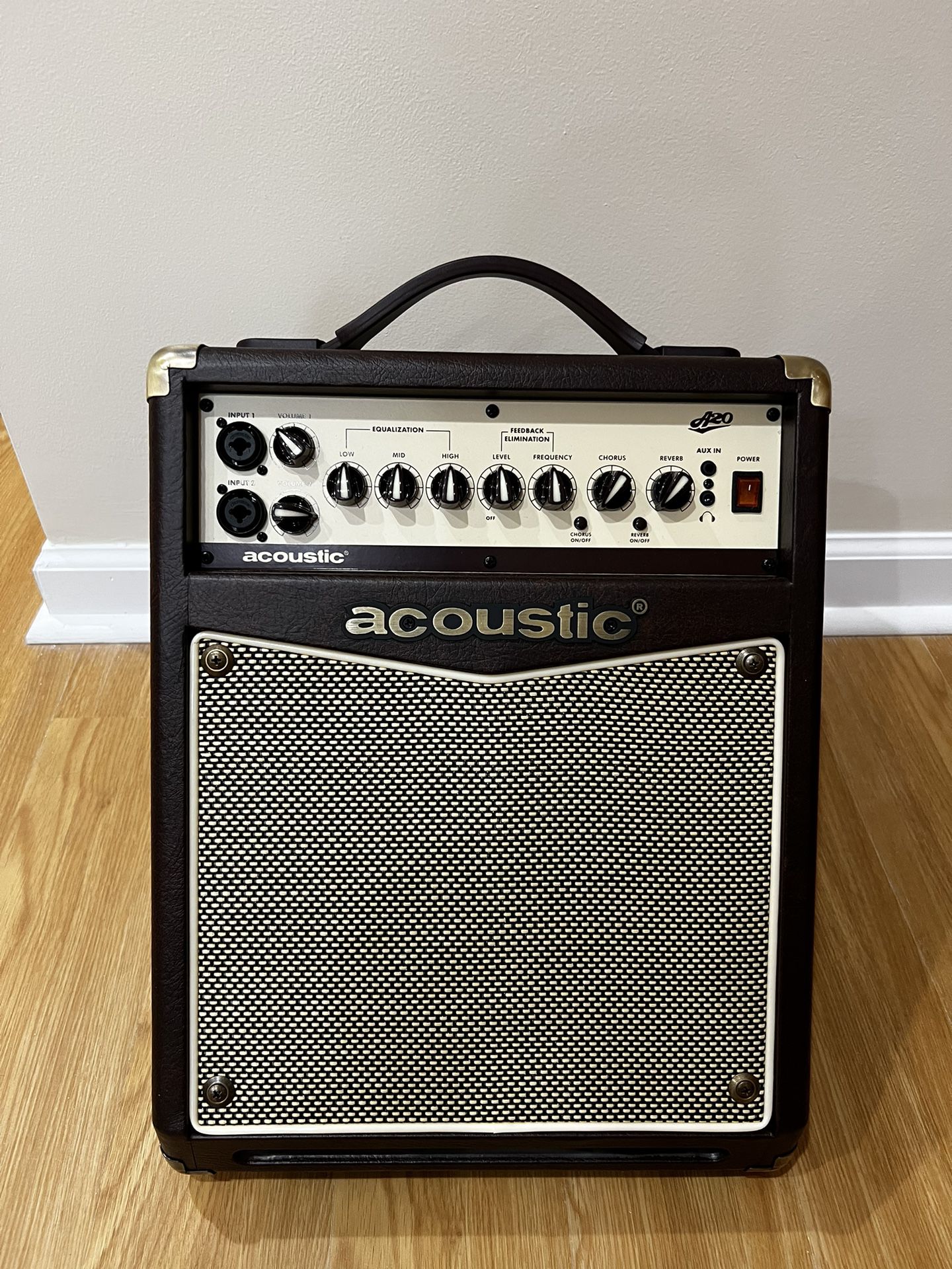 Acoustic A20 Combo amp with multiple inputs