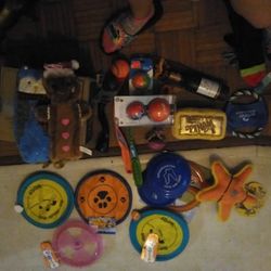Assorted Dog Toys