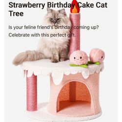 Cat climber with tent 