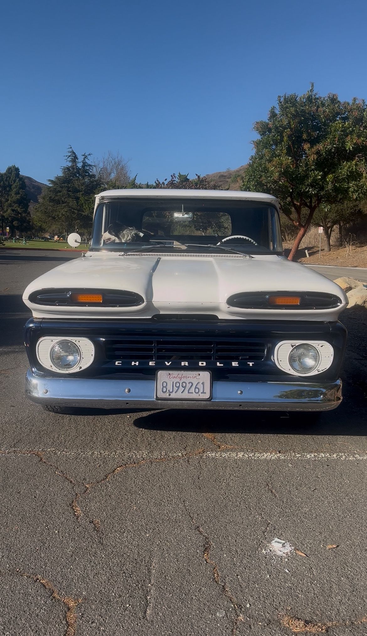 1961 Chevrolet C-10 Long Bed