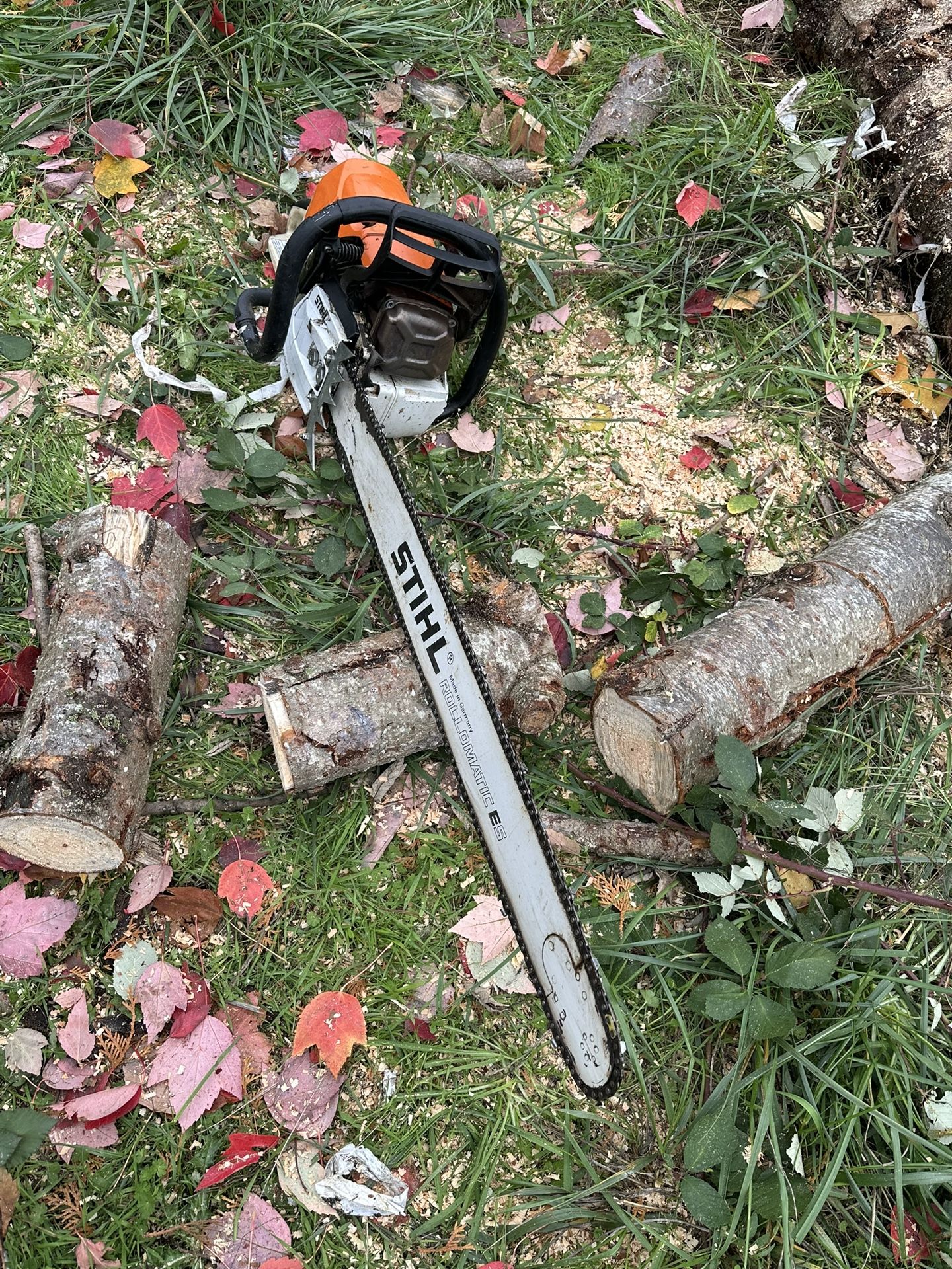 Motosierra Grande Ms 462 Uso Personal