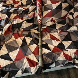 Cat X baseball bat, sliding mit and bag