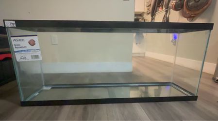 55 gallon fish/turtle tank