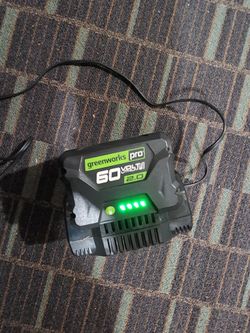 Greenworks Battery And Charger